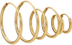 Creolen - Set of Gold