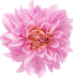 Haarspange - Wonderful Flower
