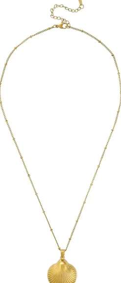 Kette - Elegant Shell